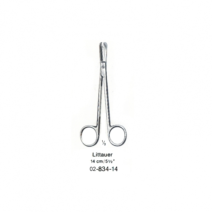 image1