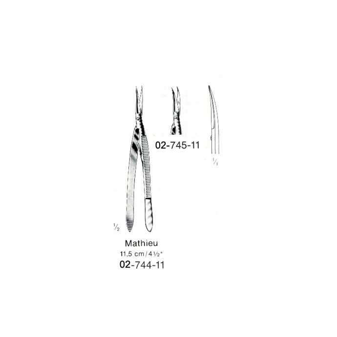 image1